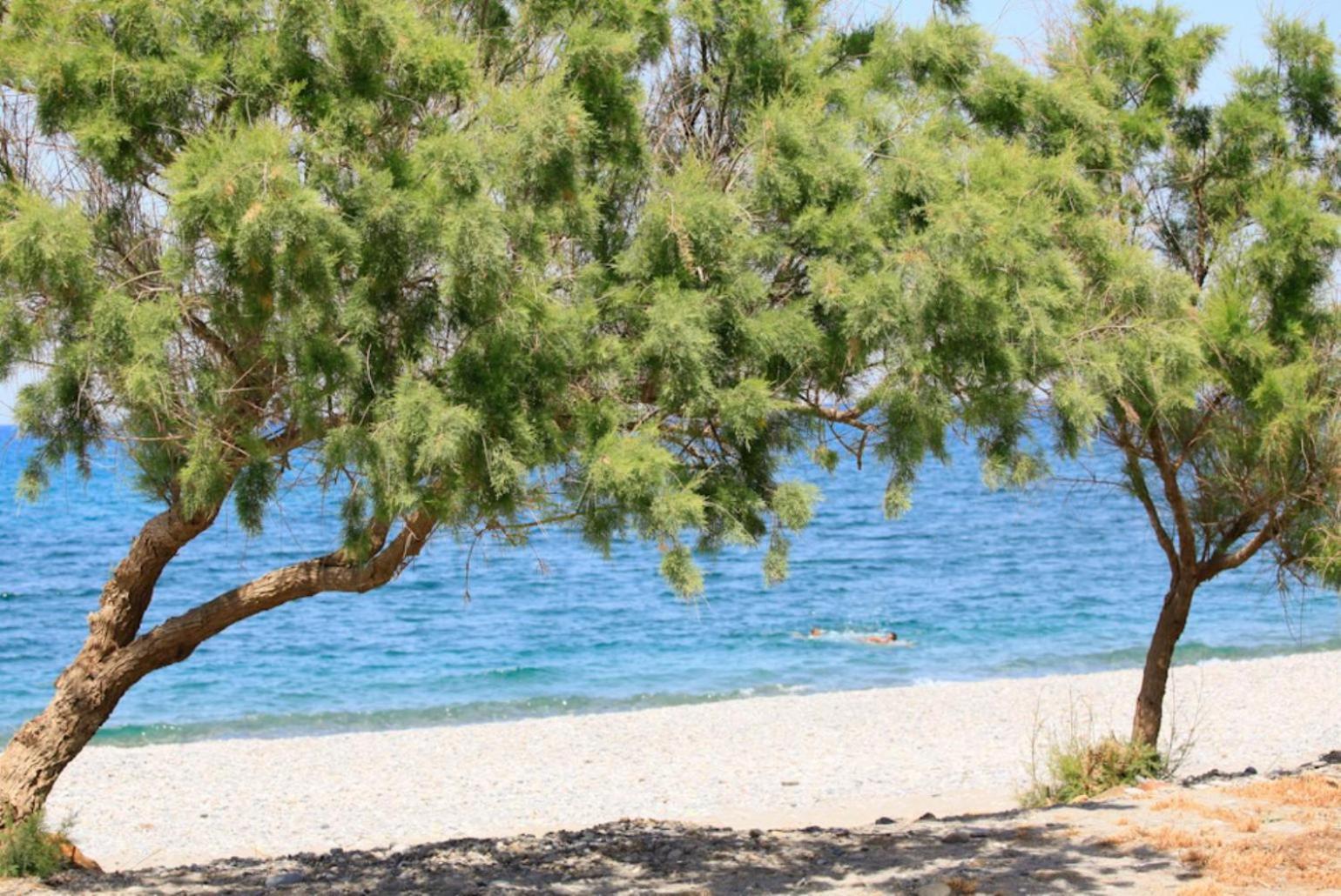 Villa Tzina Ταυρωνίτης Εξωτερικό φωτογραφία